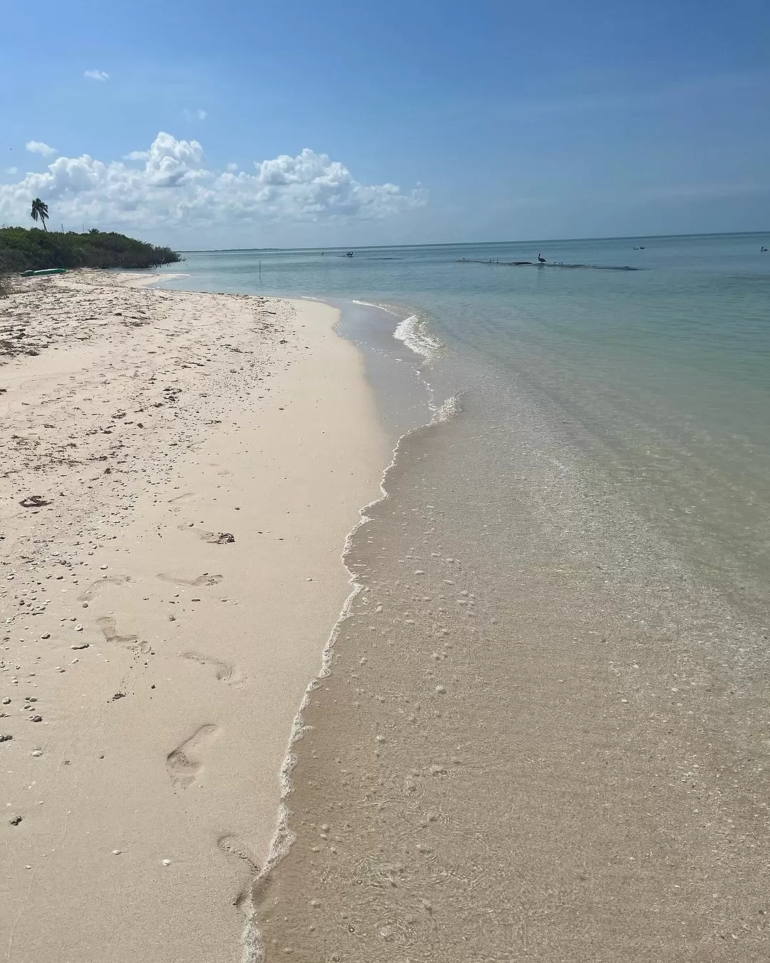 Playa Sisal Yucatán México