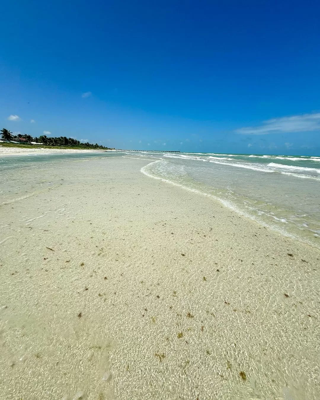 Playa El Cuyo Yucatán México