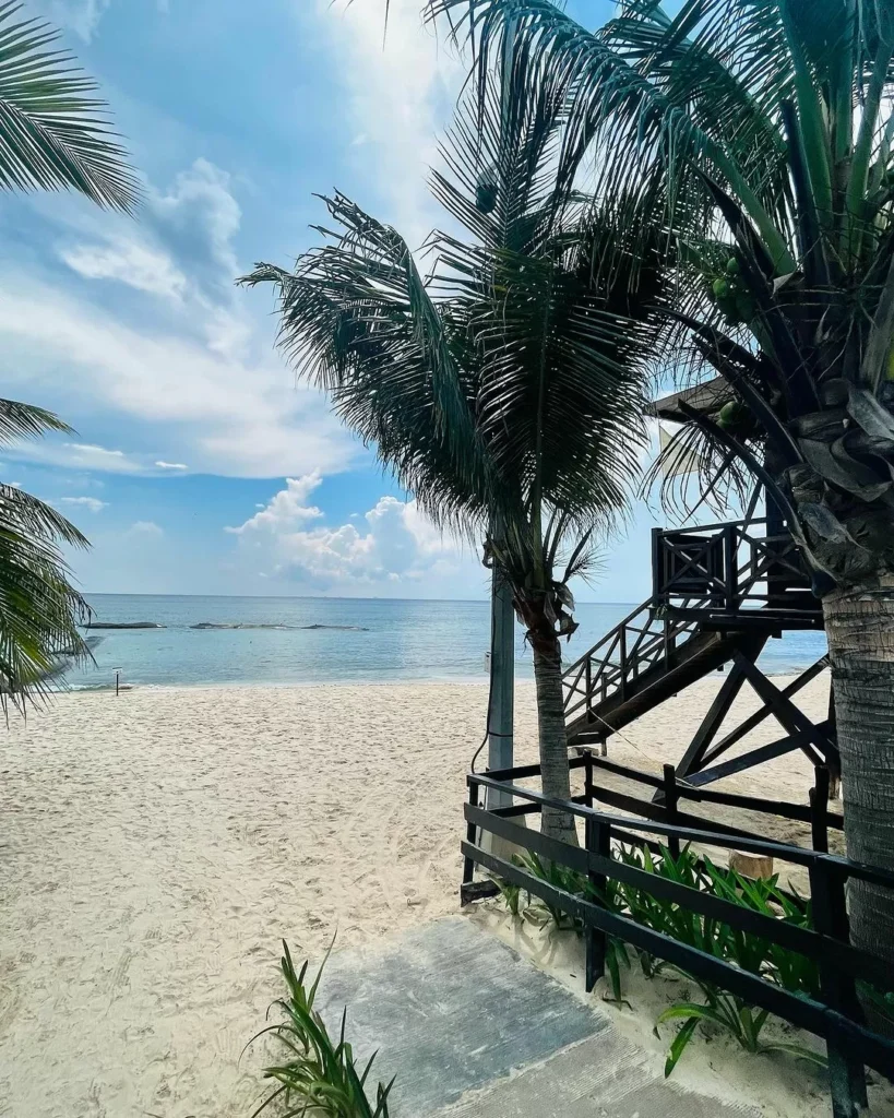 Playa de Arena Blanca y Mar Azul Sin Sargazo en Playa del Carmen para el 2024