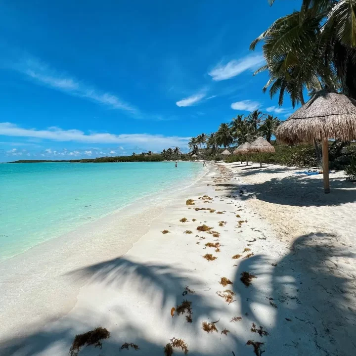 Mar Azul Turquesa Cristalino Arena Blanca Riviera Maya Playa de Isla Contoy Cancún