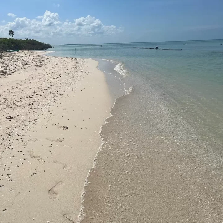 Playa Sisal Yucatán México