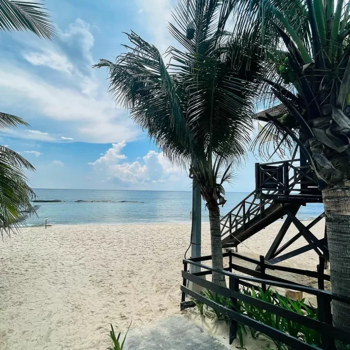 Playa de Arena Blanca y Mar Azul Sin Sargazo en Playa del Carmen para el 2024