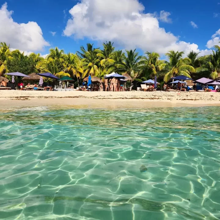 Imagen de Playa Palancar Cozumel 2023 en Playaxs.org - Autor: instagram