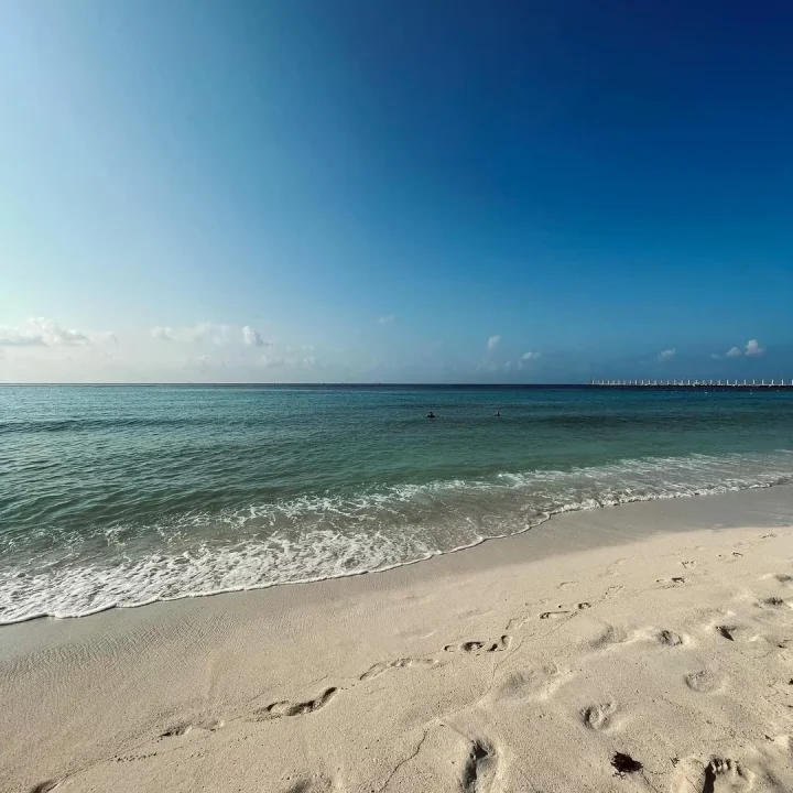 Fotos de Playa Mamitas Playa del Carmen 2023 en Playaxs.org - Autor: instagram